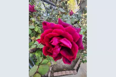 3451 Mabel, Sacramento, CA 95838 - Photo 41