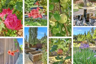 13271 La Barr Mdws Rd, Grass Valley, CA 95949 - Photo 53