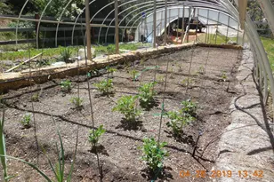 6067 Sheep Ranch Rd, Murphys, CA 95247 - Photo 11