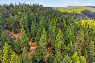 16921 McKenzie Dr, Pioneer, CA 95666 - Photo 45