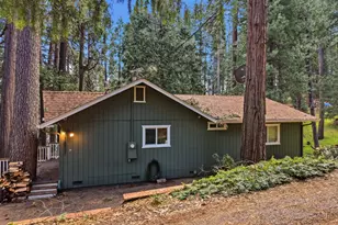 16921 McKenzie Dr, Pioneer, CA 95666 - Photo 51