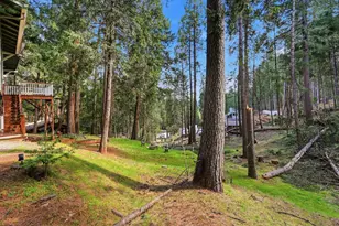 16921 McKenzie Dr, Pioneer, CA 95666 - Photo 37