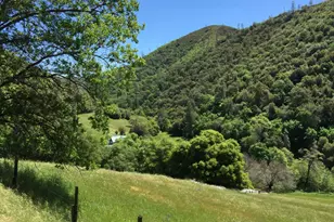 3000 Sheep Ranch Rd, Murphys, CA 95247 - Photo 71