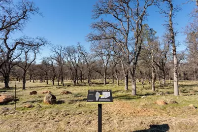 0 Hammonton Smartsville Road, Smartsville, CA 95977 - Photo 13