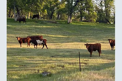 0 Hammonton Smartsville Road, Smartsville, CA 95977 - Photo 5