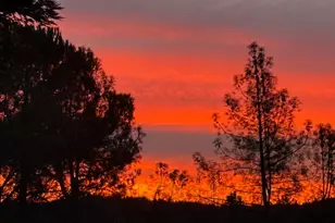 195 Cypress Hill Dr, Grass Valley, CA 95945 - Photo 45