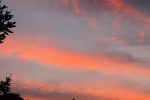 195 Cypress Hill Dr, Grass Valley, CA 95945 - Photo 65