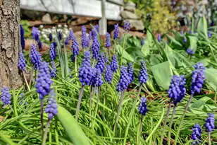 195 Cypress Hill Dr, Grass Valley, CA 95945 - Photo 55