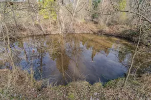 301 Bald Mountain Rd, West Point, CA 95255 - Photo 49