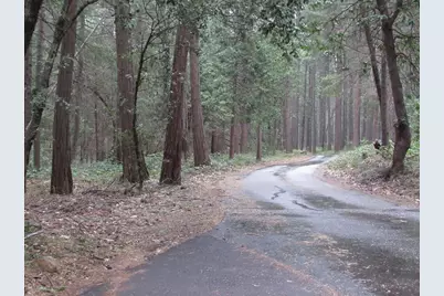 13685 Idaho Maryland Road, Nevada City, CA 95959 - Photo 9