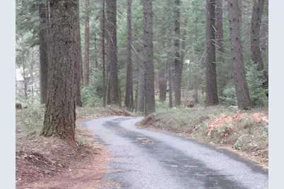 13685 Idaho Maryland Road, Nevada City, CA 95959 - Photo 5