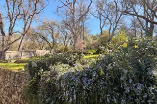 553 Russell Rd, San Andreas, CA 95249 - Photo 29