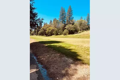 633 Forest Meadows Drive, Murphys, CA 95247 - Photo 7