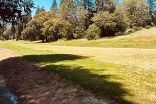 633 Forest Meadows Dr, Murphys, CA 95247 - Photo 7