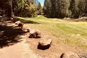 633 Forest Meadows Dr, Murphys, CA 95247 - Photo 3