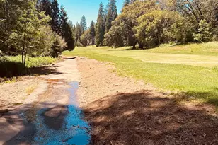 633 Forest Meadows Dr, Murphys, CA 95247 - Photo 9