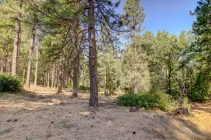 11823 Lost Ranch Way, Nevada City, CA 95959 - Photo 77