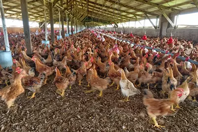 17164 Keyes Road, Merced, CA 95369 - Photo 97