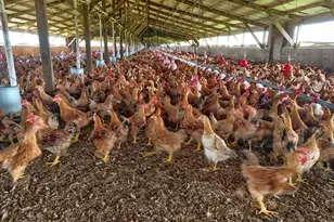 17164 Keyes Rd, Merced, CA 95369 - Photo 97