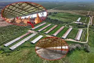 17164 Keyes Rd, Merced, CA 95369 - Photo 3