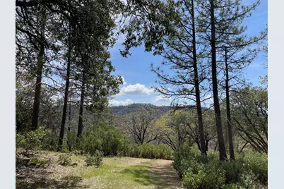 0 Armstrong Road, Sheep Ranch, CA 95246 - Photo 1