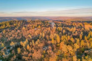 5271 Caprine Rd, Greenwood, CA 95635 - Photo 29