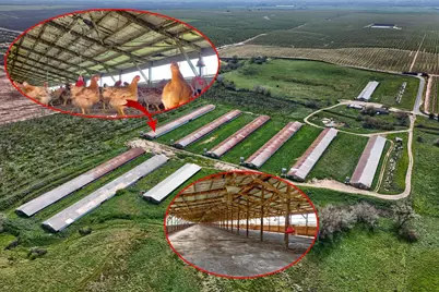 17164 Keyes Road, Merced, CA 95369 - Photo 3