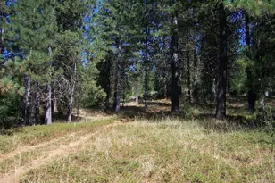 0 Parcel A Armstrong Rd, Sheep Ranch, CA 95250 - Photo 1