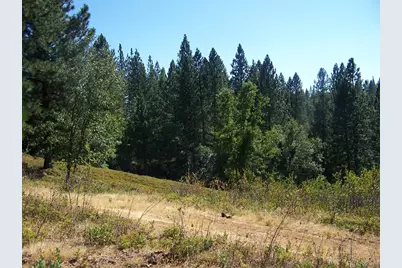 0 Parcel A  Armstrong Road, Sheep Ranch, CA 95250 - Photo 3