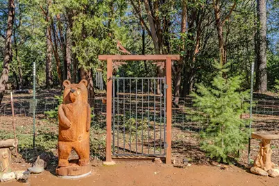 23871 Meadow Crest Drive, Pioneer, CA 95666 - Photo 39