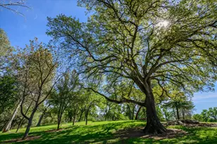 3461 Almosta Rd, Placerville, CA 95667 - Photo 29
