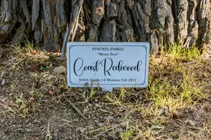 3461 Almosta Rd, Placerville, CA 95667 - Photo 37