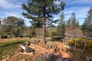 10285 Ponderosa Way, Pine Grove, CA 95665 - Photo 67