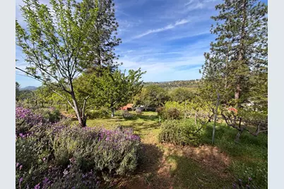 10285 Ponderosa Way, Pine Grove, CA 95665 - Photo 3