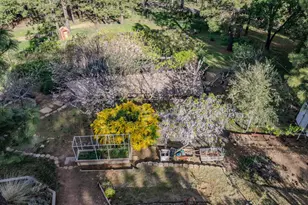 10285 Ponderosa Way, Pine Grove, CA 95665 - Photo 57