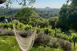 10285 Ponderosa Way, Pine Grove, CA 95665 - Photo 63