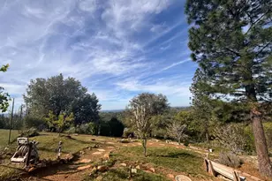 10285 Ponderosa Way, Pine Grove, CA 95665 - Photo 53