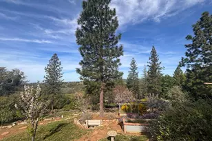 10285 Ponderosa Way, Pine Grove, CA 95665 - Photo 51