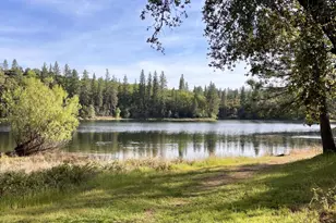 10285 Ponderosa Way, Pine Grove, CA 95665 - Photo 5