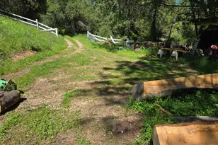 4910 Chisholm Trail, Placerville, CA 95667 - Photo 39