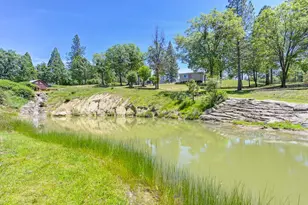 7780 Bear Ln, Somerset, CA 95684 - Photo 9