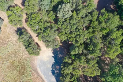 10050 Pineapple Court, Grass Valley, CA 95949 - Photo 9