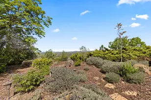 16029 Butte Mountain Rd, Jackson, CA 95642 - Photo 83