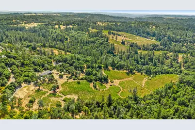 9425 Mosquito Road, Placerville, CA 95667 - Photo 69