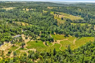 9425 Mosquito Rd, Placerville, CA 95667 - Photo 69