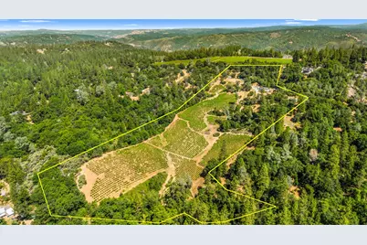 9425 Mosquito Road, Placerville, CA 95667 - Photo 5