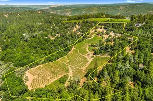 9425 Mosquito Rd, Placerville, CA 95667 - Photo 5