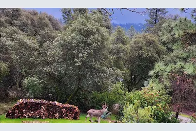 9425 Mosquito Road, Placerville, CA 95667 - Photo 71