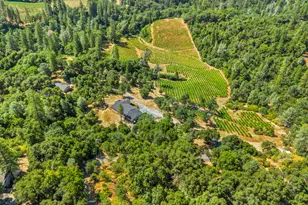 9425 Mosquito Rd, Placerville, CA 95667 - Photo 19