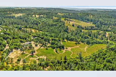9425 Mosquito Road, Placerville, CA 95667 - Photo 3